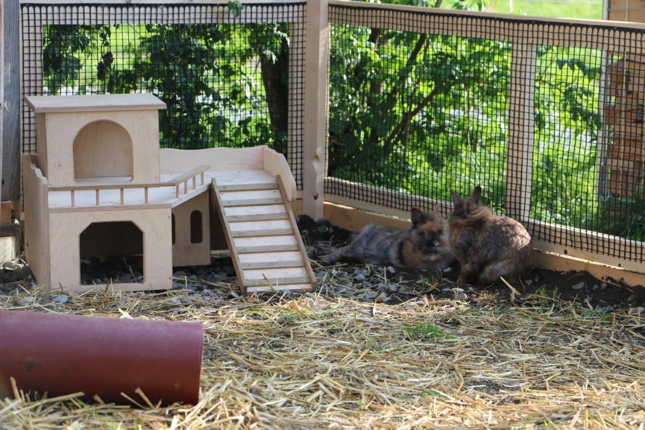 Ferienbauernhof Moosbrugger Apartman Schoppernau Kültér fotó