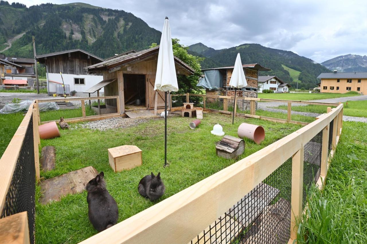 Ferienbauernhof Moosbrugger Apartman Schoppernau Kültér fotó
