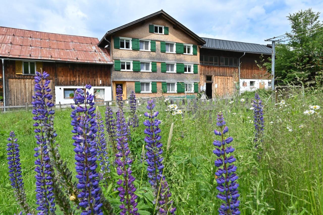Ferienbauernhof Moosbrugger Apartman Schoppernau Kültér fotó