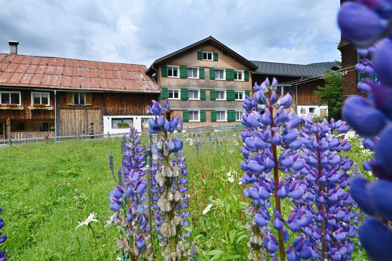 Ferienbauernhof Moosbrugger Apartman Schoppernau Kültér fotó
