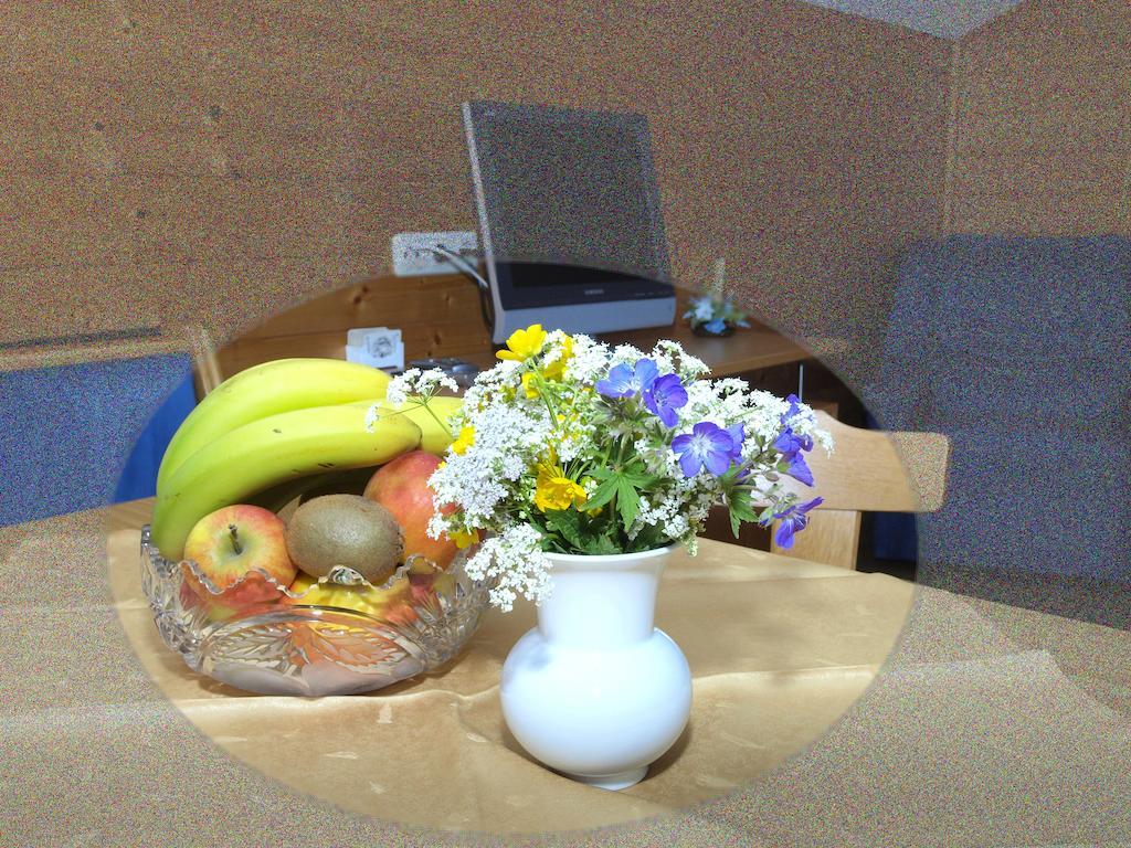 Ferienbauernhof Moosbrugger Apartman Schoppernau Szoba fotó