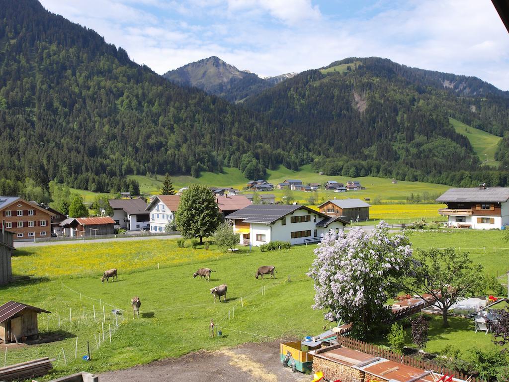Ferienbauernhof Moosbrugger Apartman Schoppernau Szoba fotó